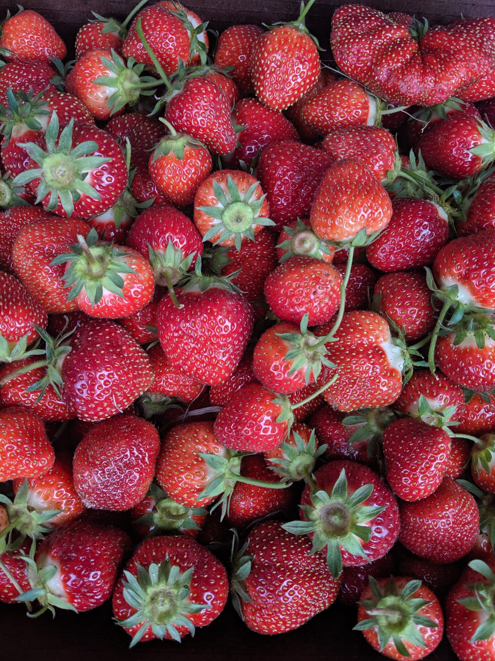 Local strawberries