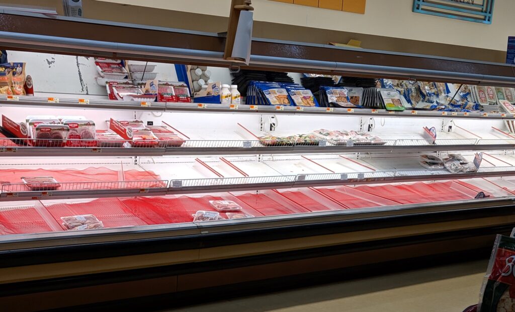 Empty refrigerated store shelves after food systems temporarily collapse during the pandemic.